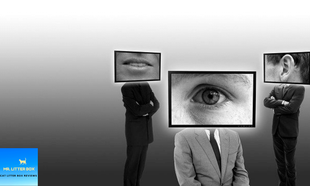 5 Best Litter Box Privacy Screen Units Today A Complete Breakdown