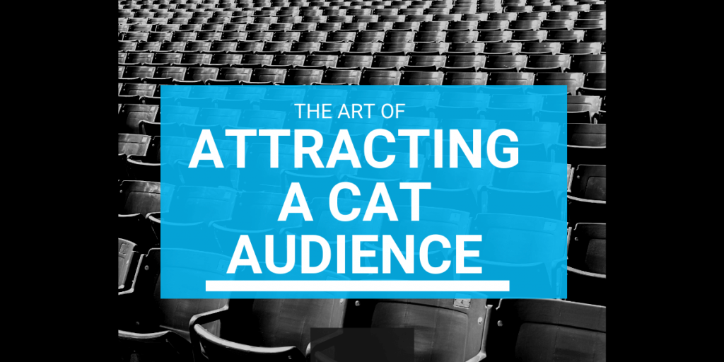 attracting a cat audience