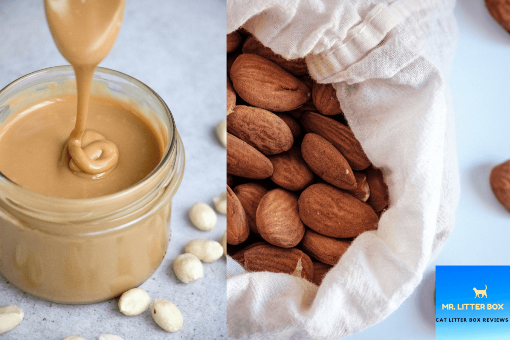 Almond butter in a jar