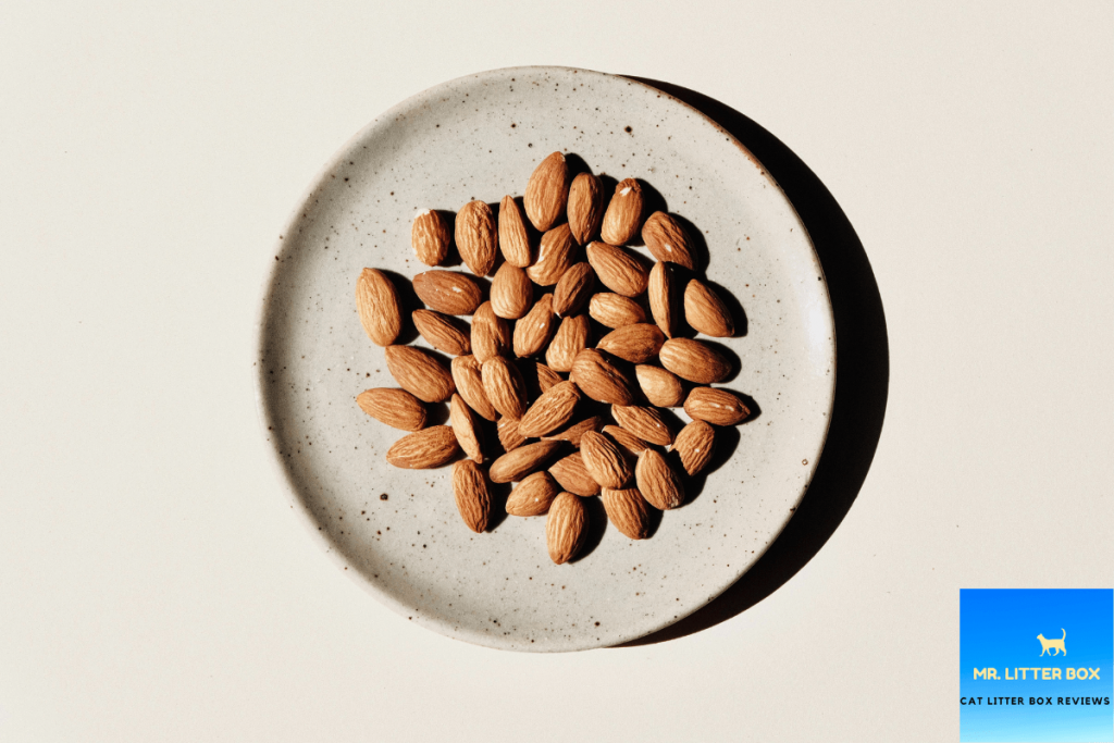 Almonds in a plate