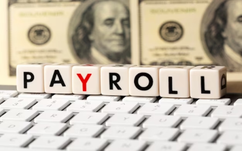 The Symphony of Efficiency: Unraveling the Dynamics of Payroll Software