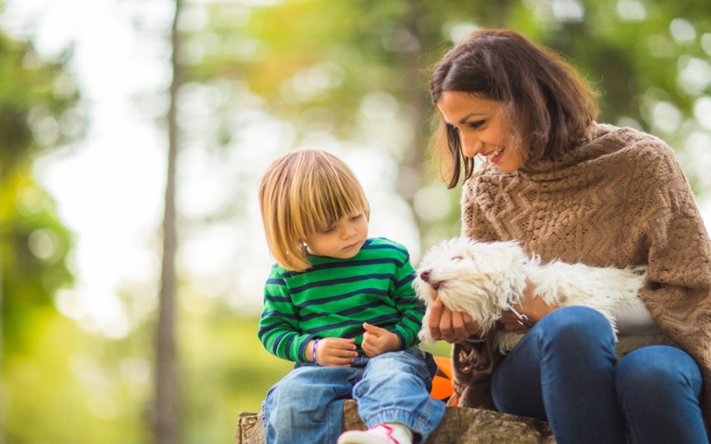 Understanding Au Pair Program Fees and What to Expect When Budgeting for Childcare